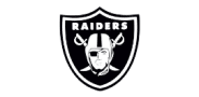 wholesale bag suppliers-raiders